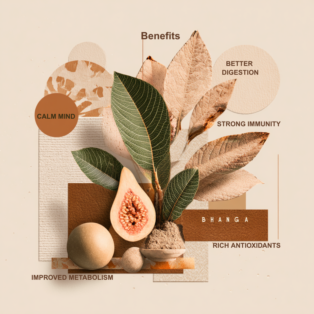 Cannabis Leaves (Bhang) Infused Dried Guava Powder.